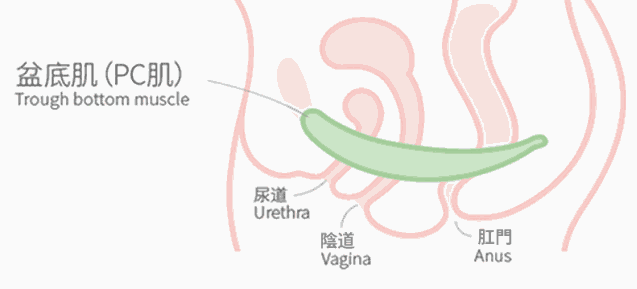 1650081051179872.png image.png