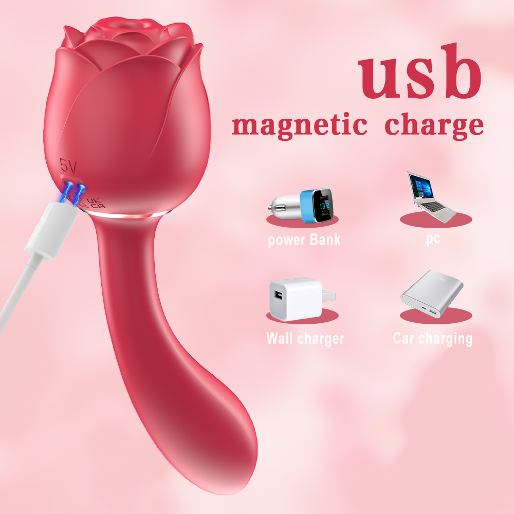 usb magnetic charging sex toy